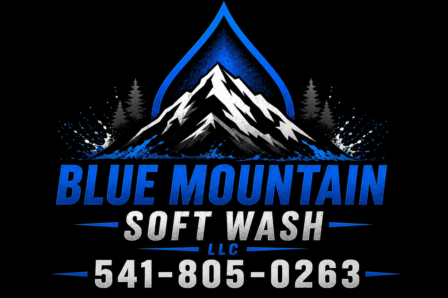 Blue Mountain Soft Wash logo
